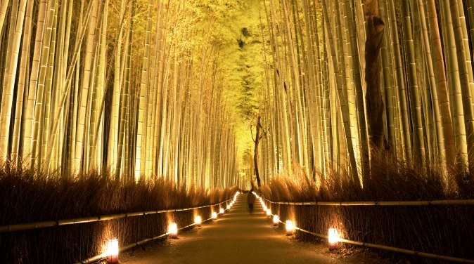  Lễ hội Arashiyama Hanatouro tại Kyoto là một sự kiện thần tiên kết hợp giữa ánh sáng và hoa.