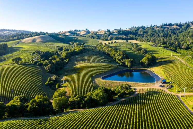 Napa Valley, nằm ở California, là một thiên đàng rượu vang với những cánh đồng nho tuyệt đẹp và các nhà máy rượu danh tiếng.
