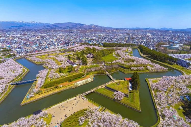 Hokkaido mùa xuân với muôn hoa khoe sắc