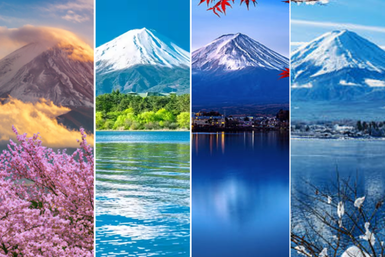 Cảnh đẹp núi Phú Sĩ qua bốn mùa 