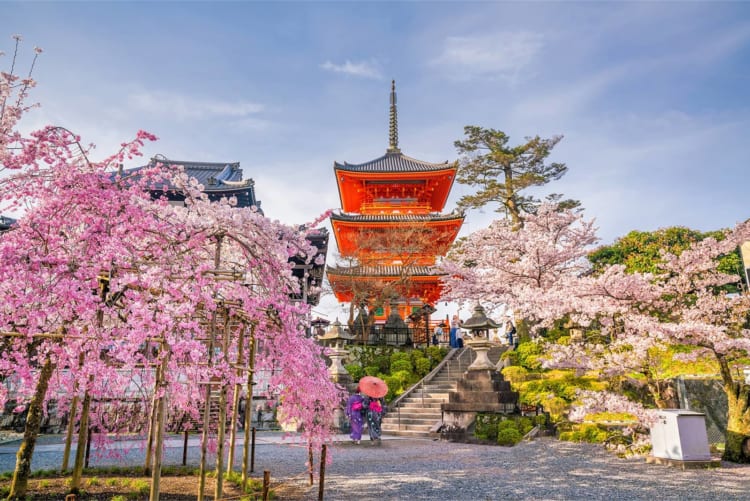 NHẬT BẢN 6N5Đ | NARA – OSAKA – KYOTO – NAGOYA – PHÚ SĨ – TOKYO