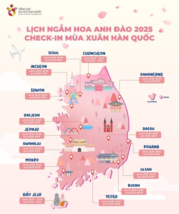 Bản đồ dự báo mùa hoa anh đào 2025 tại Hàn Quốc (Nguồn KTO Việt Nam)