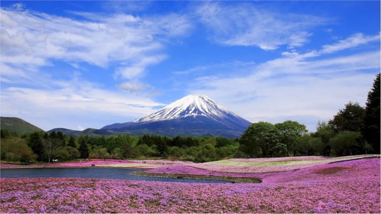 Mỗi mùa tại Yamanashi đều mang những vẻ đẹp riêng 