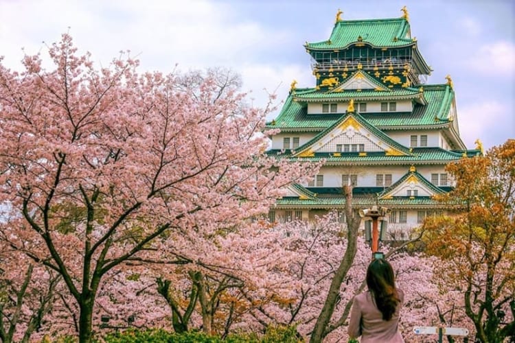 Lâu đài Osaka hòa quyện giữa vẻ đẹp cổ kính và thiên nhiên thơ mộng 