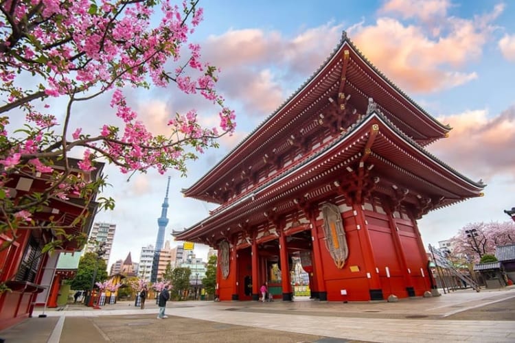 Asakusa mỗi mùa lại khoác lên mình một chiếc áo mới 